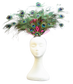 Boab Dreamweaver