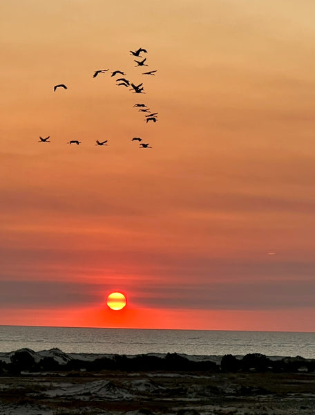 Sandy Point Sunset