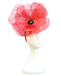 Lady of the Poppies
