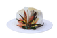 HAT-ON