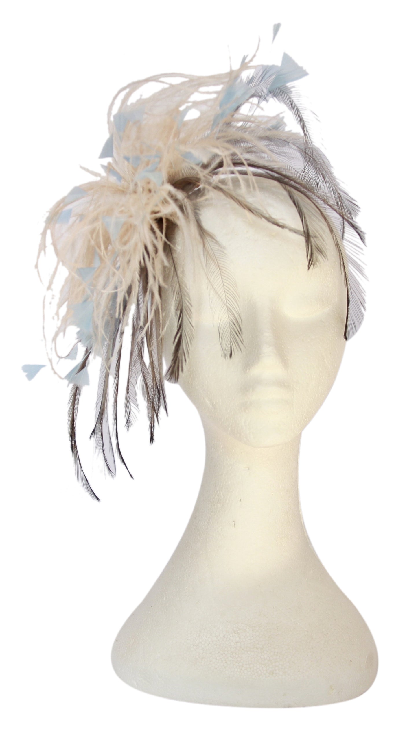 Hats by Felicity - Maratus Splendor